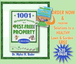 Pest Free Property 2 for 1